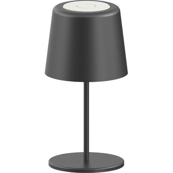 T 9600 technoline Tischleuchte